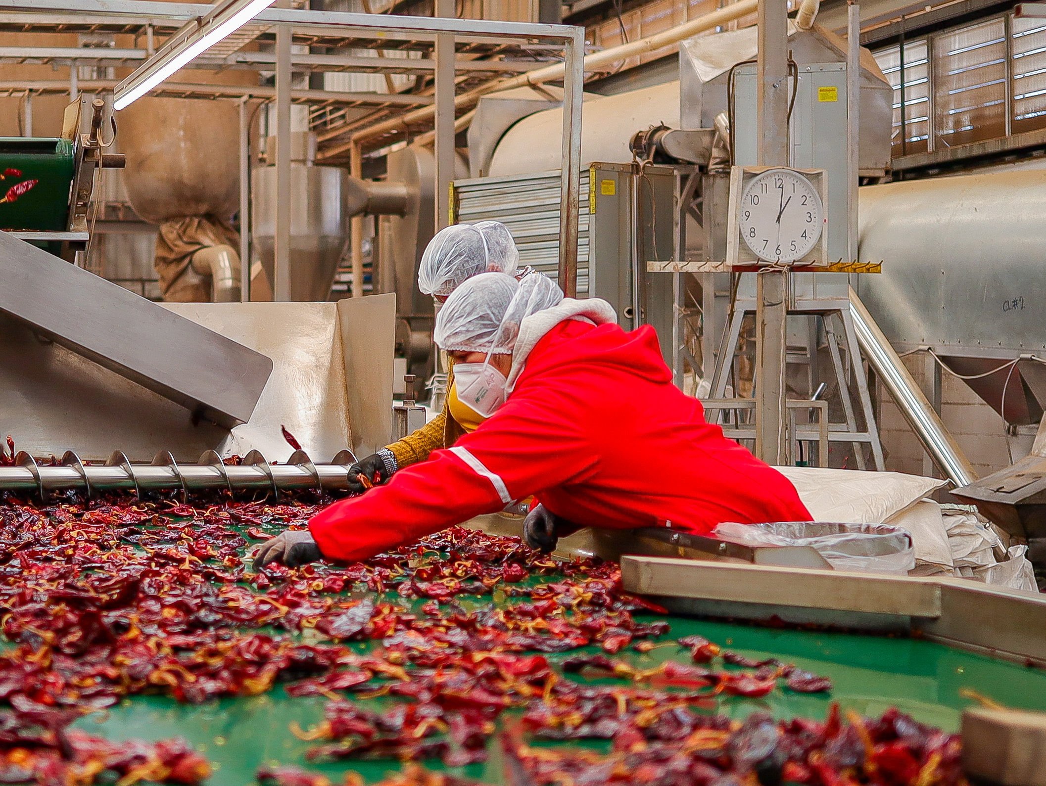 Selección y limpieza